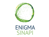 EnigmaSinapi